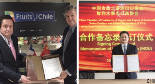 Chile signs historic memorandum of understanding with China.