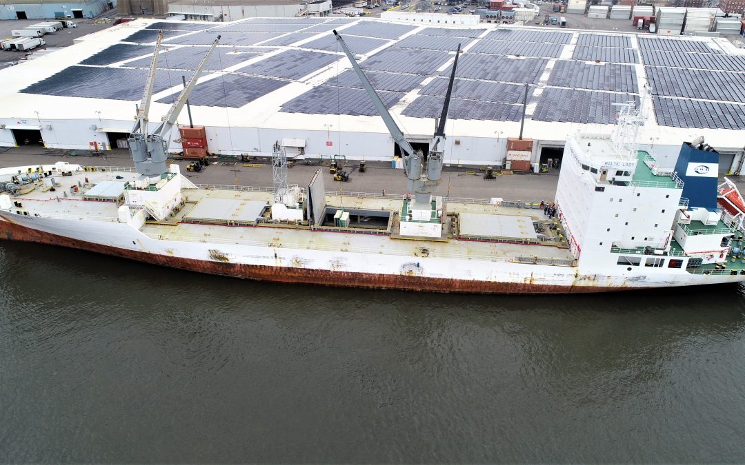 Puertos de Estados Unidos: TEUs movilizados durante julio superan cifras de junio
