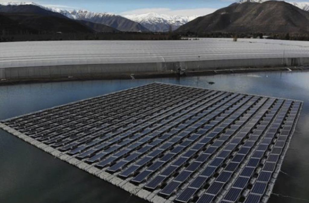 Hortifrut inaugura la primera planta fotovoltaica flotante de Chile