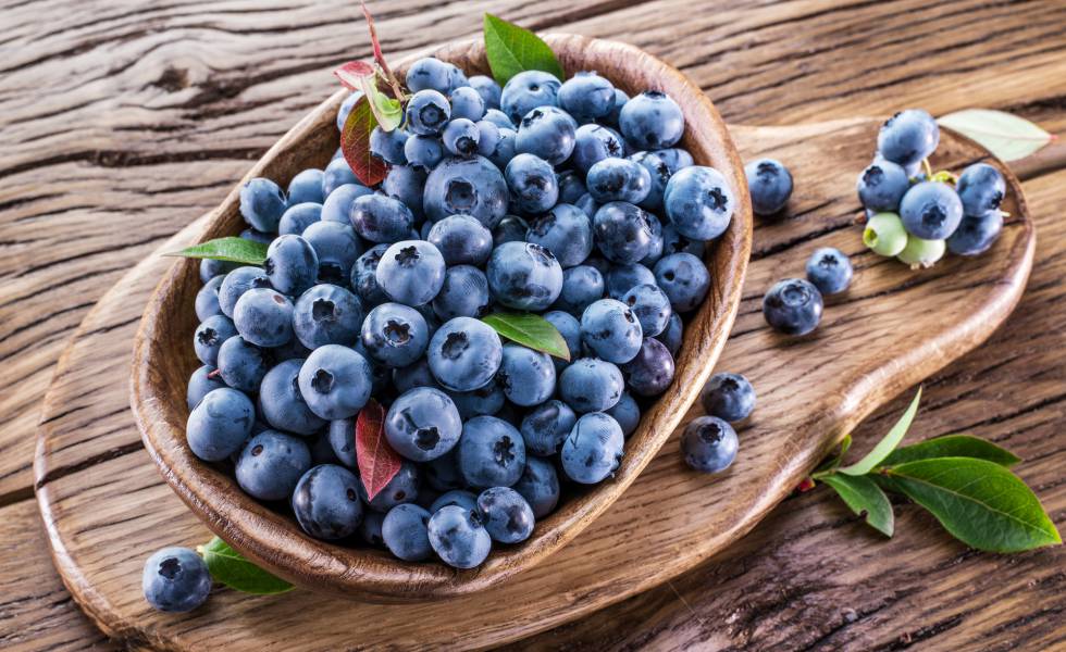 Productores de arándanos en Latinoamérica comienzan a delinear estrategias por investigación de EEUU.