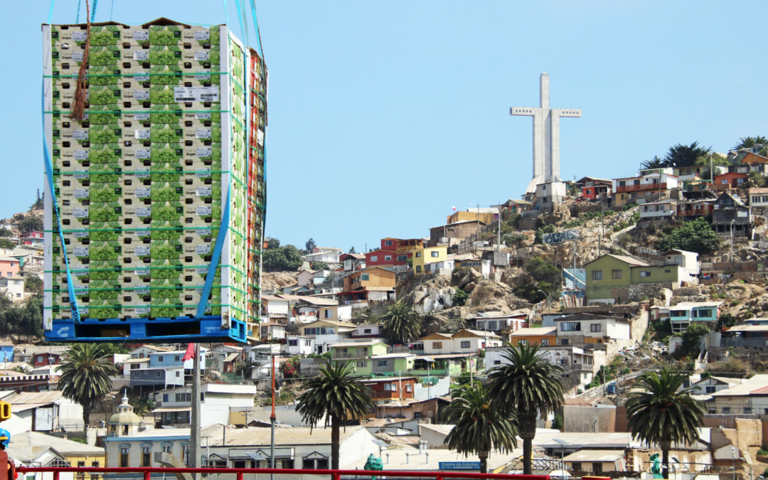 Ivar Reefer Coquimbo