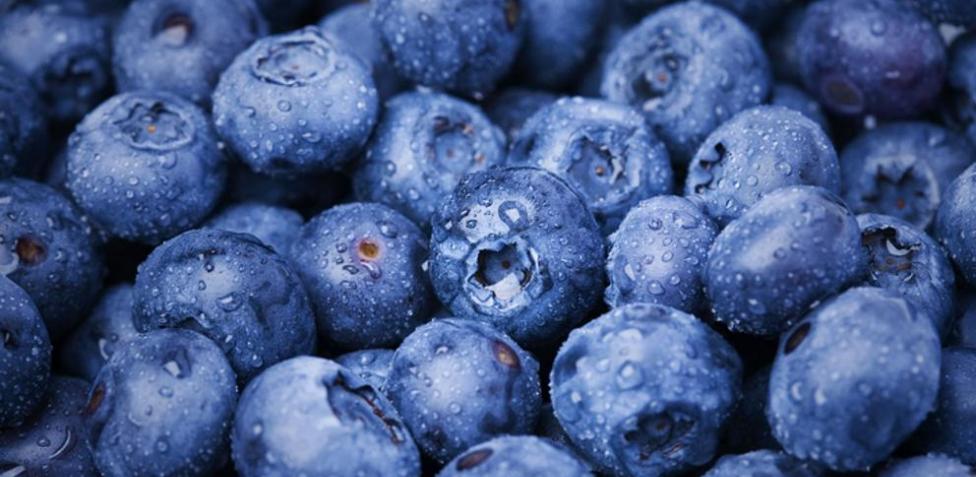 Envíos de fruta caen en volumen, pero elevan valor por mejor calidad