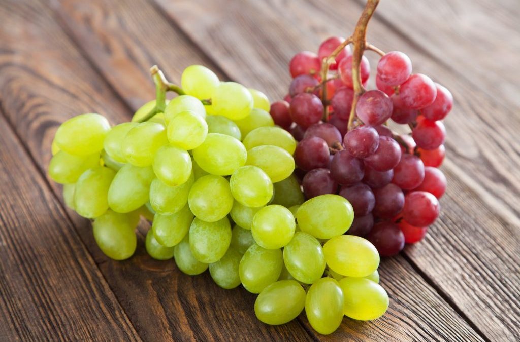 Exportaciones de fruta chilena alcanzan 1,74 millones de toneladas durante 2021