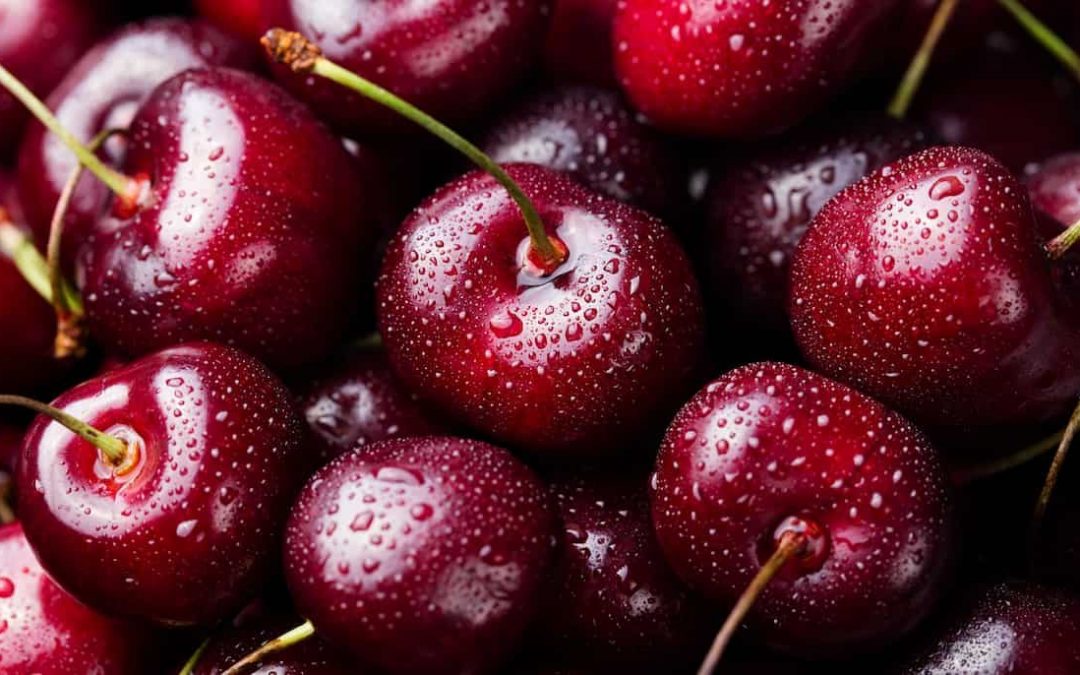 Cerezas chilenas en un punto de inflexión con las nuevas variedades