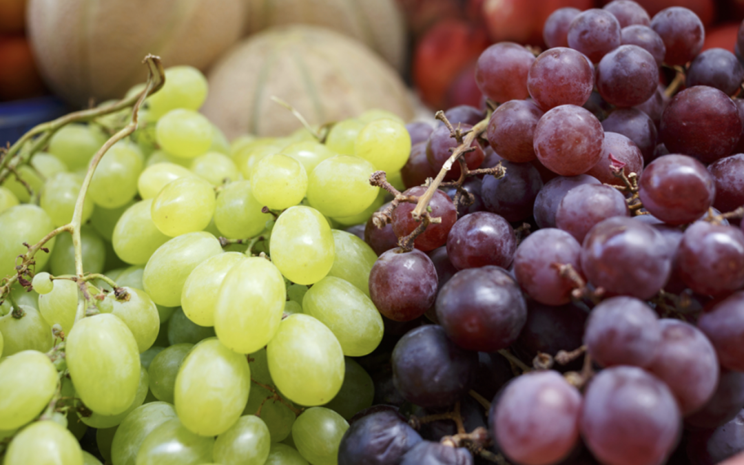 Chilean table grape exports project 5% uptick for 2023-24