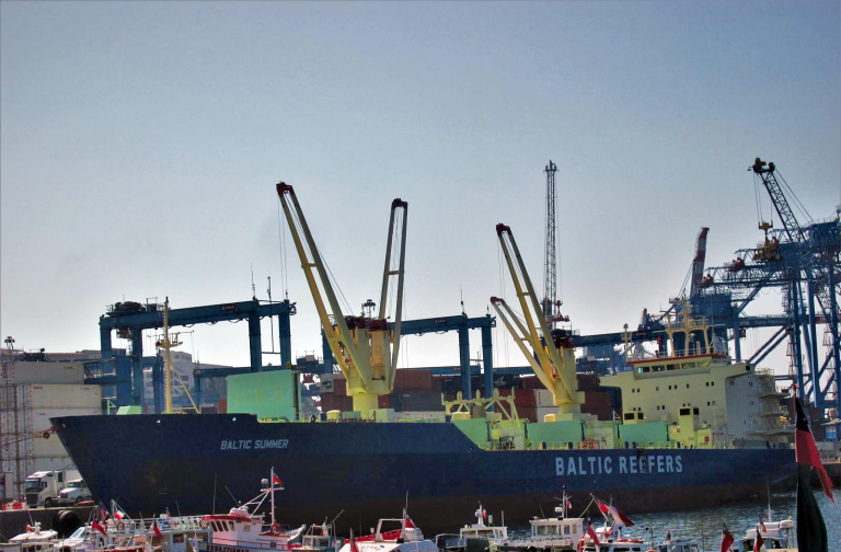 Baltic Summer embarca 2 mil pallets con fruta fresca en Terminal Pacífico Sur
