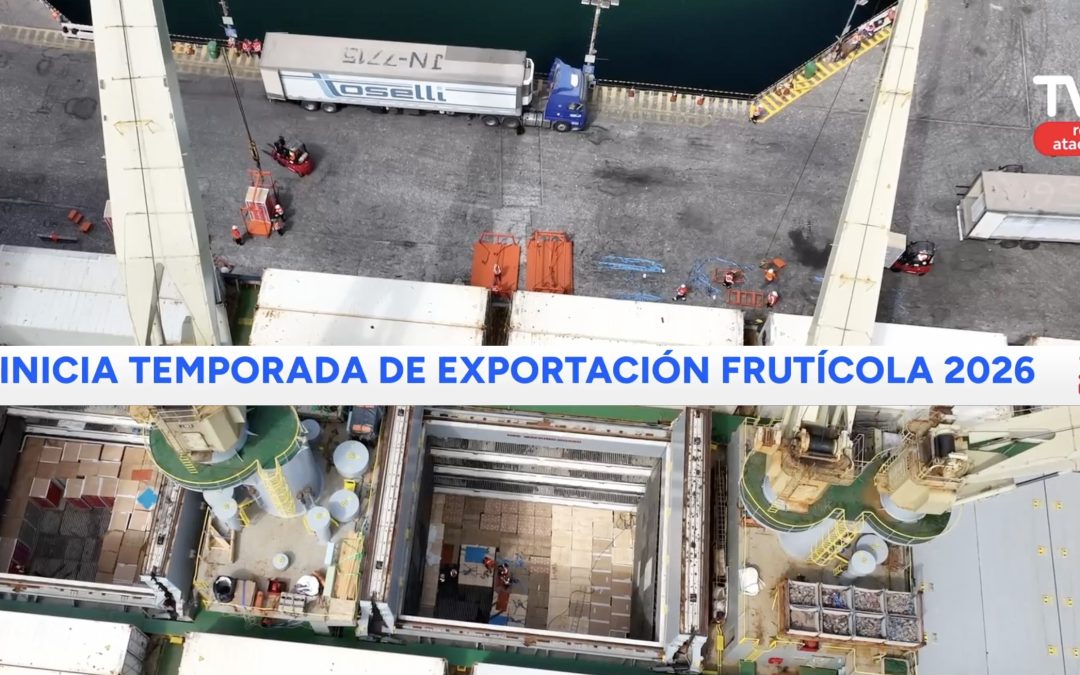 Caldera inicia temporada de exportación frutícola 2026